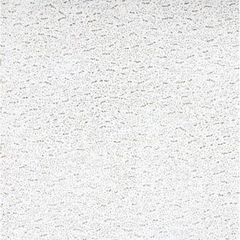 Armstrong® Fissured 2' X 2' Square Ceiling Panel, #756an, Carton Of 16