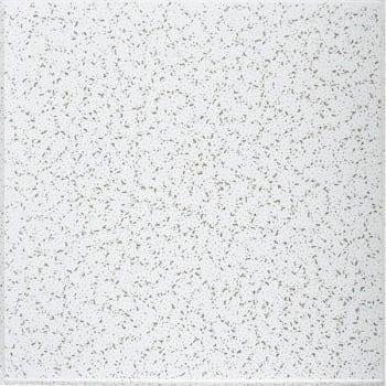 Image for Armstrong® Cortega® 2' X 2'  Square Ceiling Panel, #770n, Carton Of 16 from HD Supply