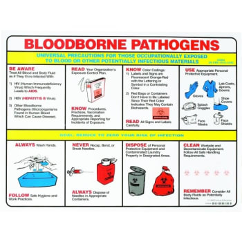 Image for Brady Bloodborne Pathogens Poster from HD Supply