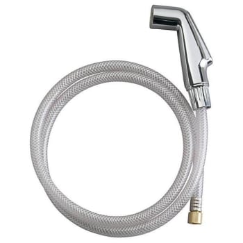 Image for Kohler® Kitchen Sidespray With Hose Polished Chrome from HD Supply