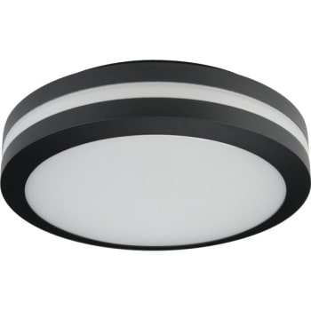 Liteco 11.8 in. 1-Light Outdoor Ceiling Light (Black)