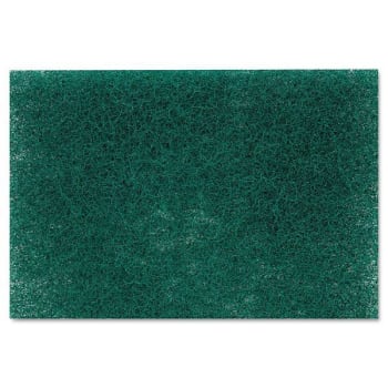 Image for Scotch-Brite Pro Commercial Heavy Duty Scouring Pad, Carton Of 36 from HD Supply