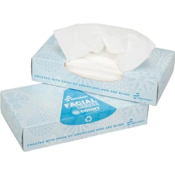 Image for Facial Tissue 2-Ply Package Of 12 Boxes from HD Supply