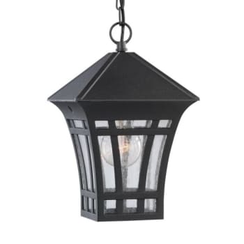 Image for Sea Gull Lighting® Herrington 7.25 in. 1-Light Outdoor Pendant Fixture (Black/Clear) from HD Supply