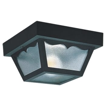 Image for Sea Gull Lighting® 10.25 In. 2-Light 60w Outdoor Ceiling Light (Clear) from HD Supply