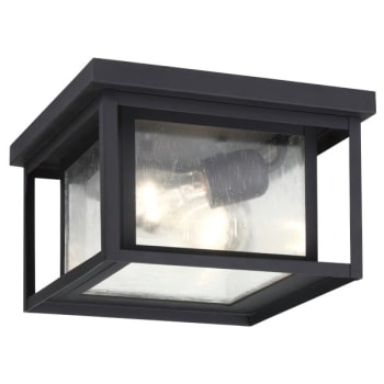 Image for Sea Gull Lighting® 78027-12 Hunnington 2-Light Outdoor Ceiling Light (Black) from HD Supply