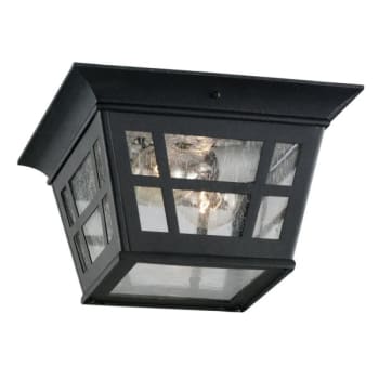 Image for Sea Gull Lighting® Herrington 2-Light Outdoor Ceiling Light (Black) from HD Supply