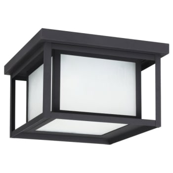 Image for Sea Gull Lighting® 79039-12 Hunnington 2-Light Outdoor Ceiling Light (Black) from HD Supply