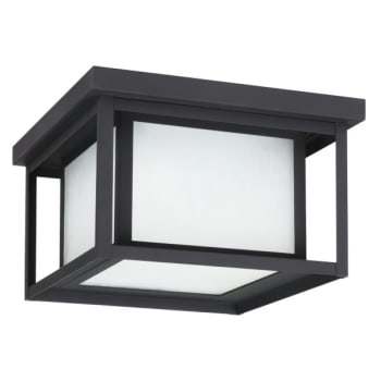 Sea Gull Lighting® Hunnington 10 in. 2-Light Outdoor Ceiling Light (Black)