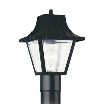 Sea Gull Lighting® 11 In. 1-Light Outdoor Lantern (Clear)