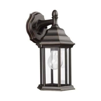 Sea Gull Lighting® Sevier 12.5 in. 1-Light Outdoor Lantern (Antique Bronze)
