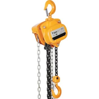 Vestil 1000 Lb Capacity Professional Hand Chain Hoist 10'