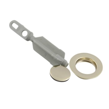 Image for Moen Polished Brass Drain Plug & Seat from HD Supply