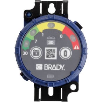 Image for Brady Inspection Timer With Led Lights 30 Days Pack Of 10 from HD Supply