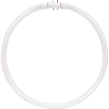 Satco 40-Watt 12 In Circline T5 2gx13 Base Fluorescent Tube Light Bulb ...
