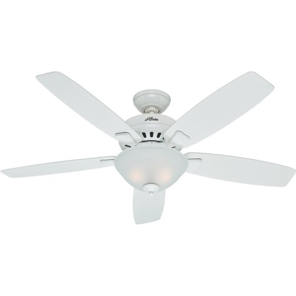 Hunter Banyan 52 Dual Mount White Ceiling Fan Hd Supply
