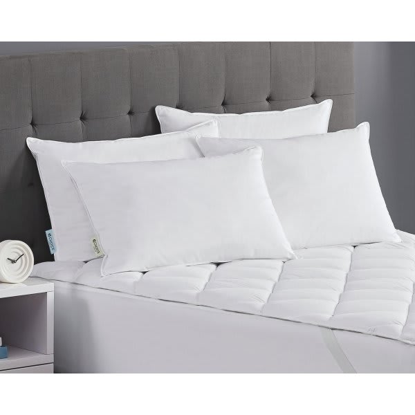Blue Label Firm Pillow  Featured At Many Choice® Hotel Family of Bran 