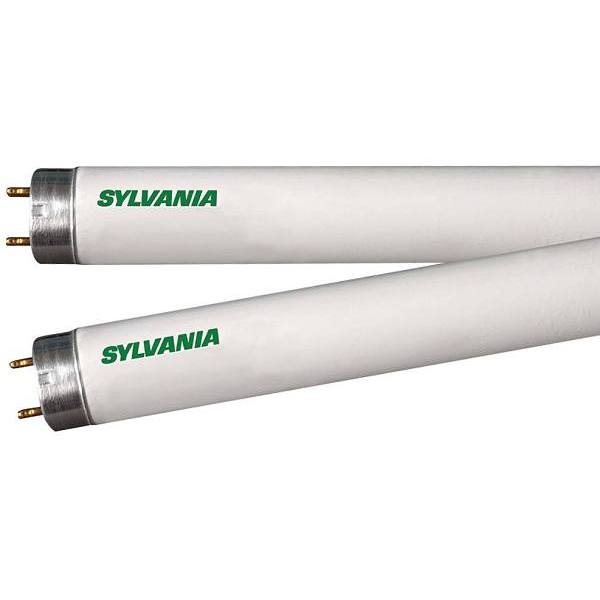 【公式】フジのお歳暮・冬ギフト - WEBカタログ掲載中 White Cool W 28 Sylvania Linear Light Fluorescent Bi-Pin T8 モンステラ・ポトス