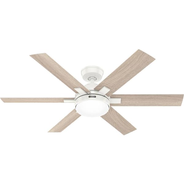 Hunter Fan Georgetown Ceiling Fan