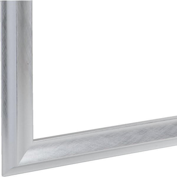 48 x 36" Silver Mirror Frame Kit HD Supply