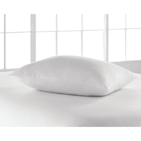 Regular Shape Pillow, Silky Loft Fill IHG EV, CP, IN, King Soft Case