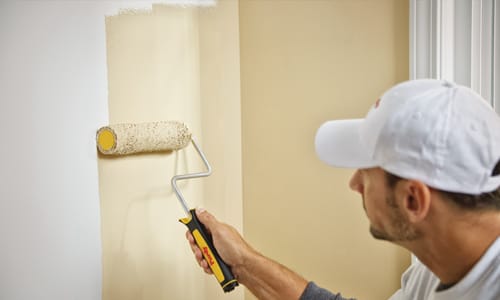 Interior Paint Buying Guide