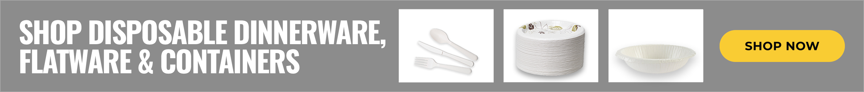 Shop Disposable Dinnerware, Flatware & Containers